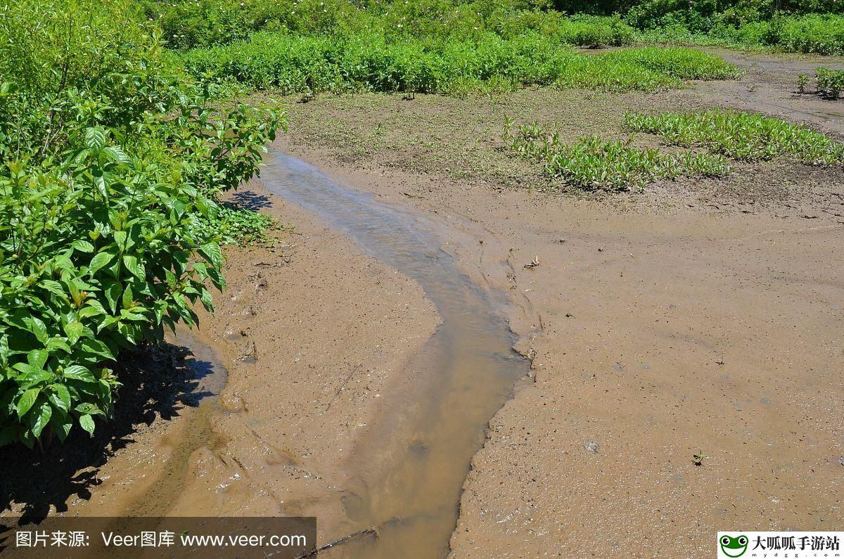 两峰夹小溪湿地又无泥