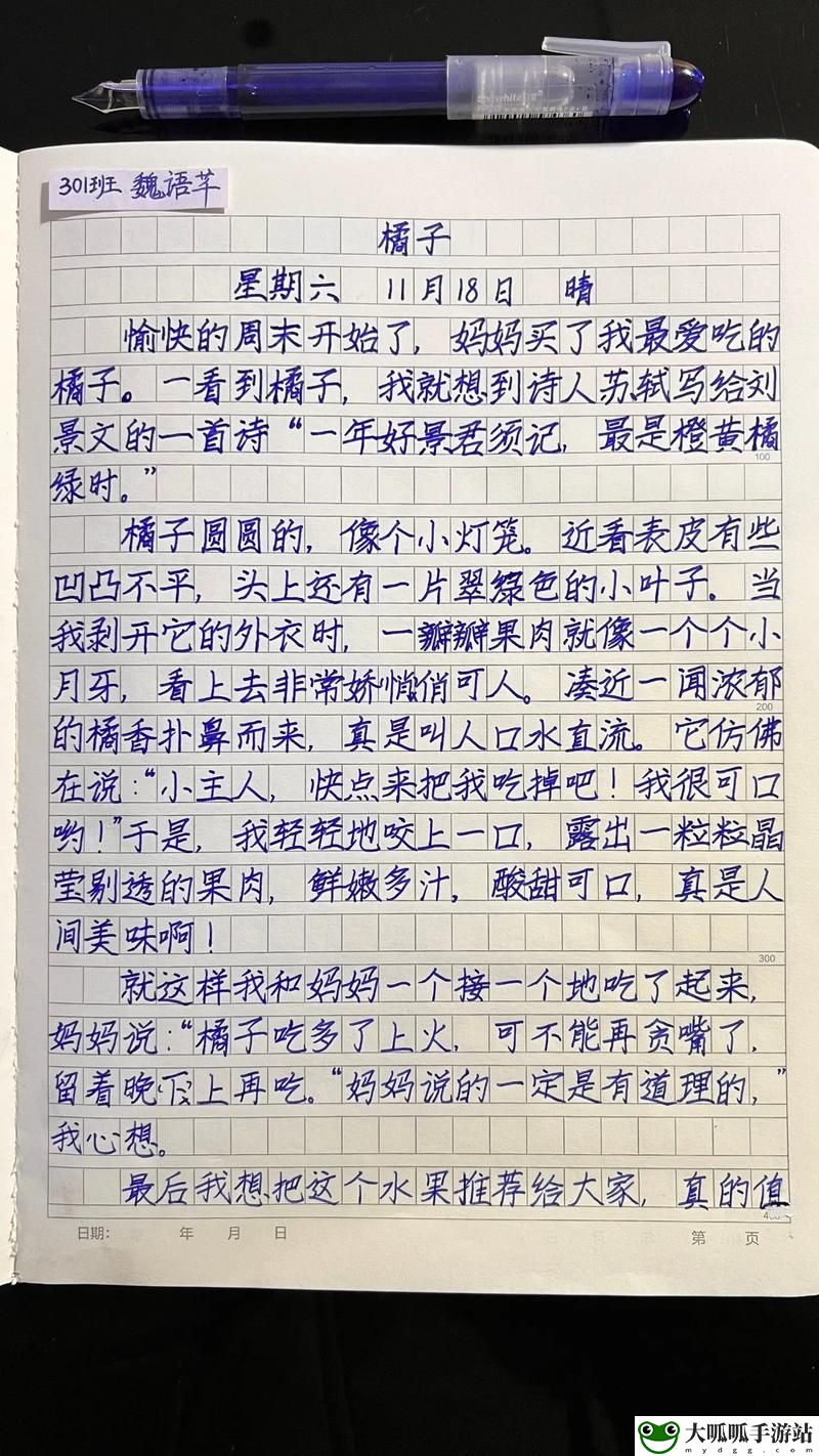 公共玩具小诗日记的写作方法