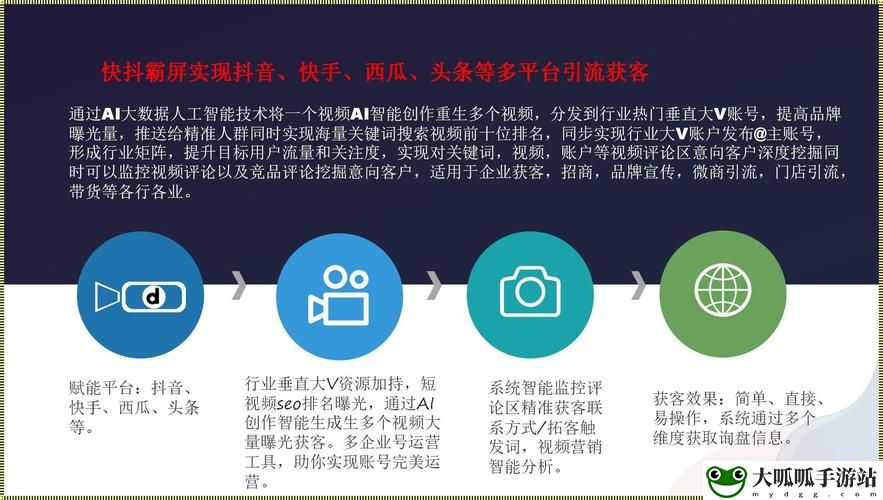 seo短视频网页入口引流